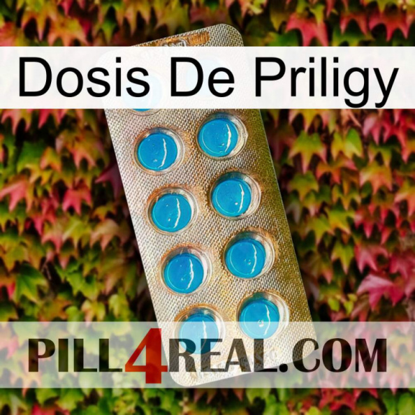 Priligy Dosage new09.jpg